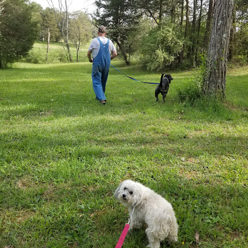 Cedar Creek Farm - Boarding & Daycare