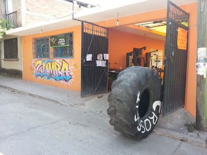 Mastache,s Gym - Calle 13 Nte. A Pva. San Jerónimo 3, Emiliano Zapata, 40011 Iguala de la Independencia, Gro., Mexico