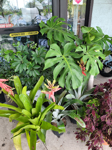 Hardware Store «Proctor Ace Hardware», reviews and photos, 1281 Atlantic Blvd, Neptune Beach, FL 32266, USA