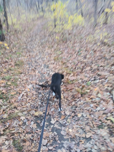 Nature Preserve «Gummere Woods And Marsters Preserve Trail», reviews and photos, 4 Wheeler Rd, North Grafton, MA 01536, USA