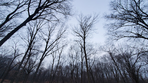 Park «Conant Park», reviews and photos, 310 Conant St, Hillside, NJ 07205, USA