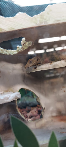 Pet Supply Store «Petco Animal Supplies», reviews and photos, 4030 N MacArthur Blvd #200, Irving, TX 75038, USA