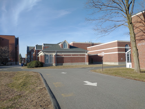 College «College of Our Lady of the Elms», reviews and photos