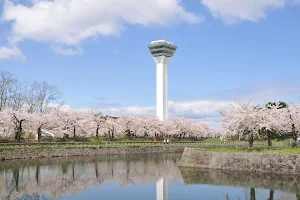 Goryōkaku Tower image