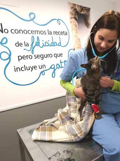 Hospitales y veterinarios de urgencia en Zaragoza de 2024