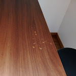 Photo n° 2 de l'avis de voyageur.u fait le 17/05/2024 à 13:21 pour BOULANGERIE ANGE à Metz