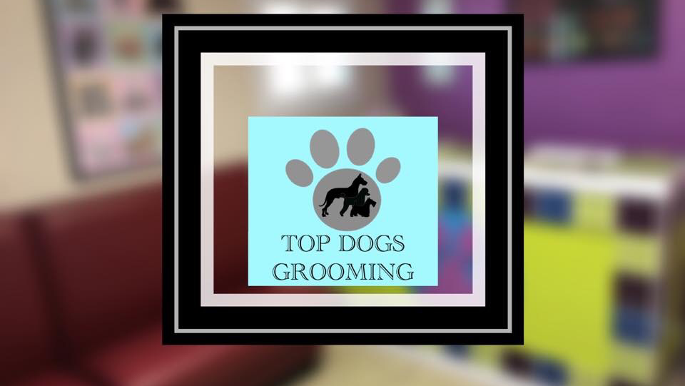 Top Dogs Grooming