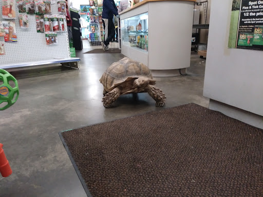 Pet Store «Just Pets», reviews and photos, 393 NY-5, Irving, NY 14081, USA