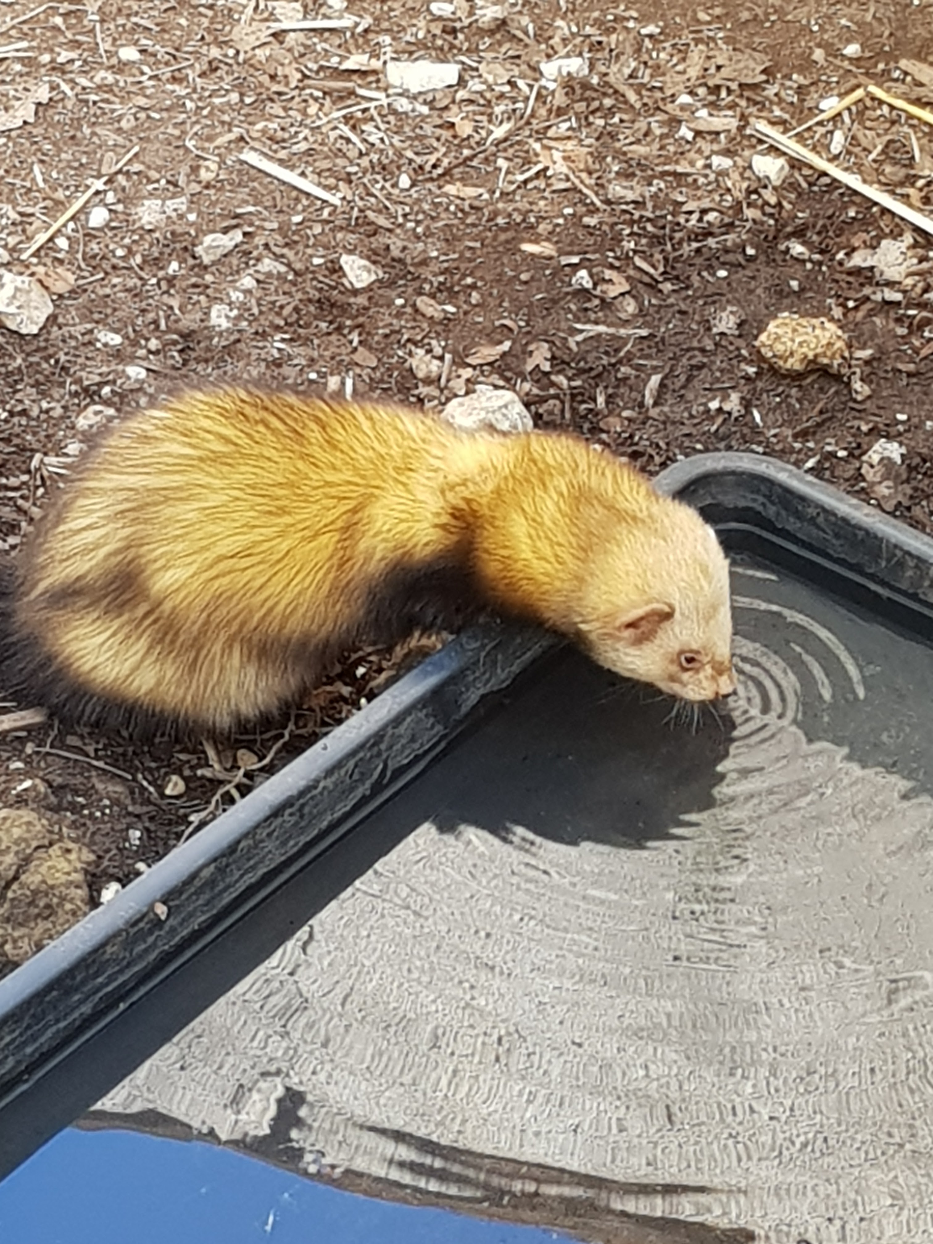 Photo n° 6 de l'avis de Elo.b fait le 09/06/2019 à 12:26