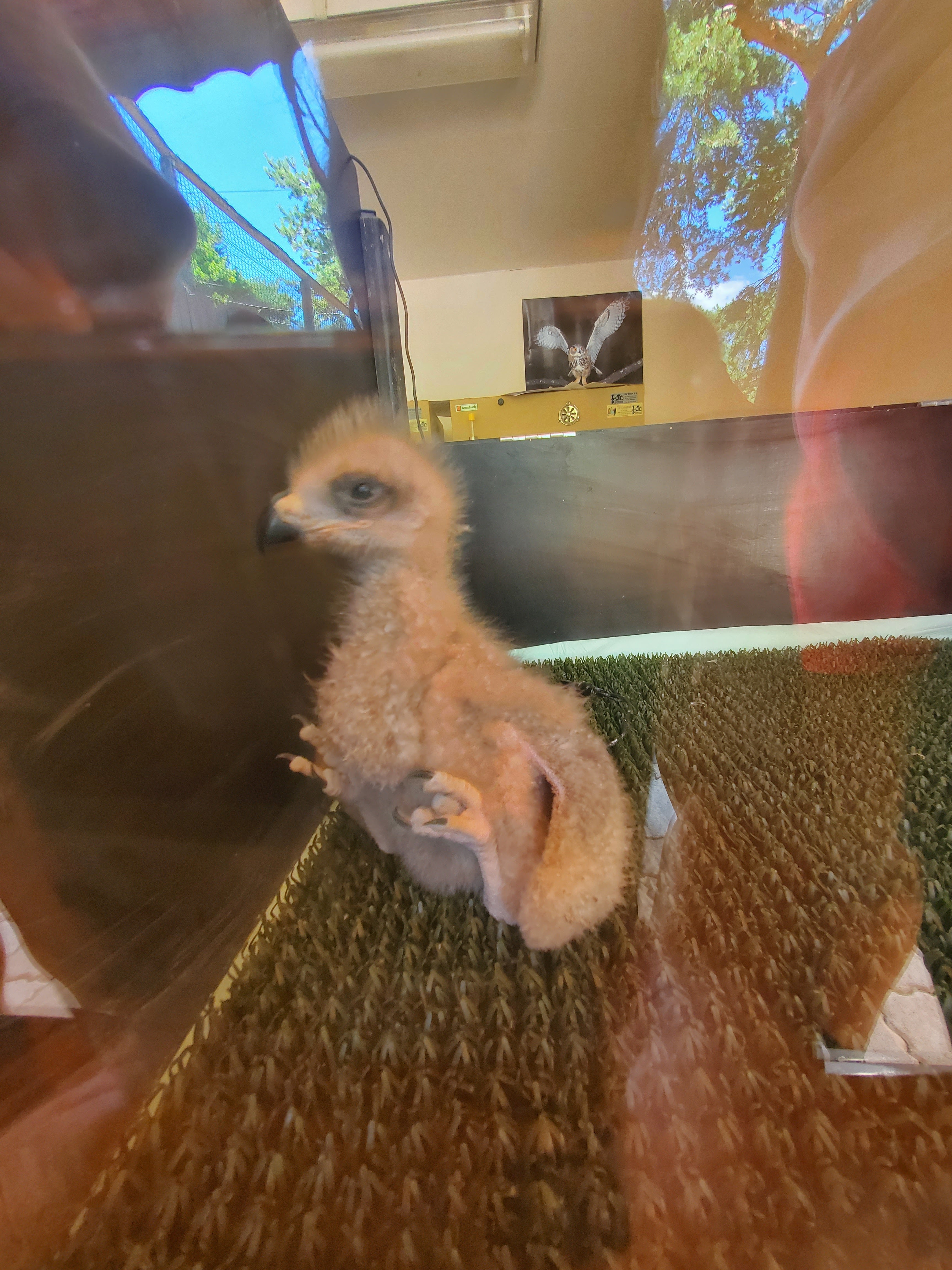 Photo n° 6 de l'avis de Lynda.e fait le 15/08/2023 à 10:47