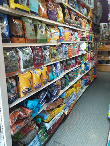 Pet Supply Store «Pet NV», reviews and photos, 71 Central Ave, Brooklyn, NY 11206, USA
