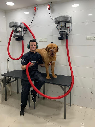 Dog groomers in Buenos Aires