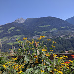 Photo n°4 de l'avis de Ines.a fait le 17/09/2020 à 04:48 sur le  Hotel Sonnenhof à Kuens