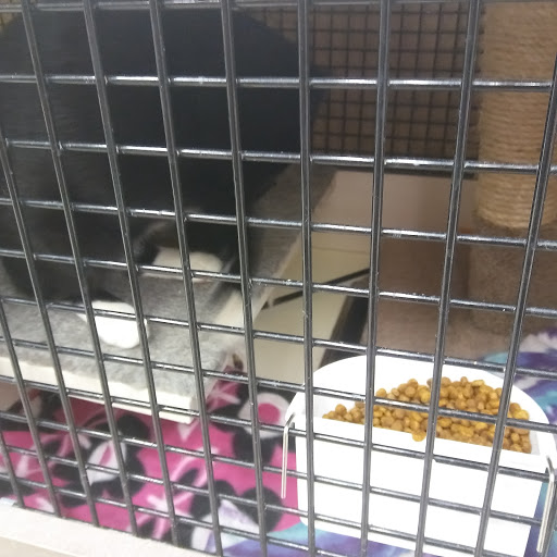 Pet Supply Store «Petco Animal Supplies», reviews and photos, 2705 Federated Blvd, Columbus, OH 43235, USA