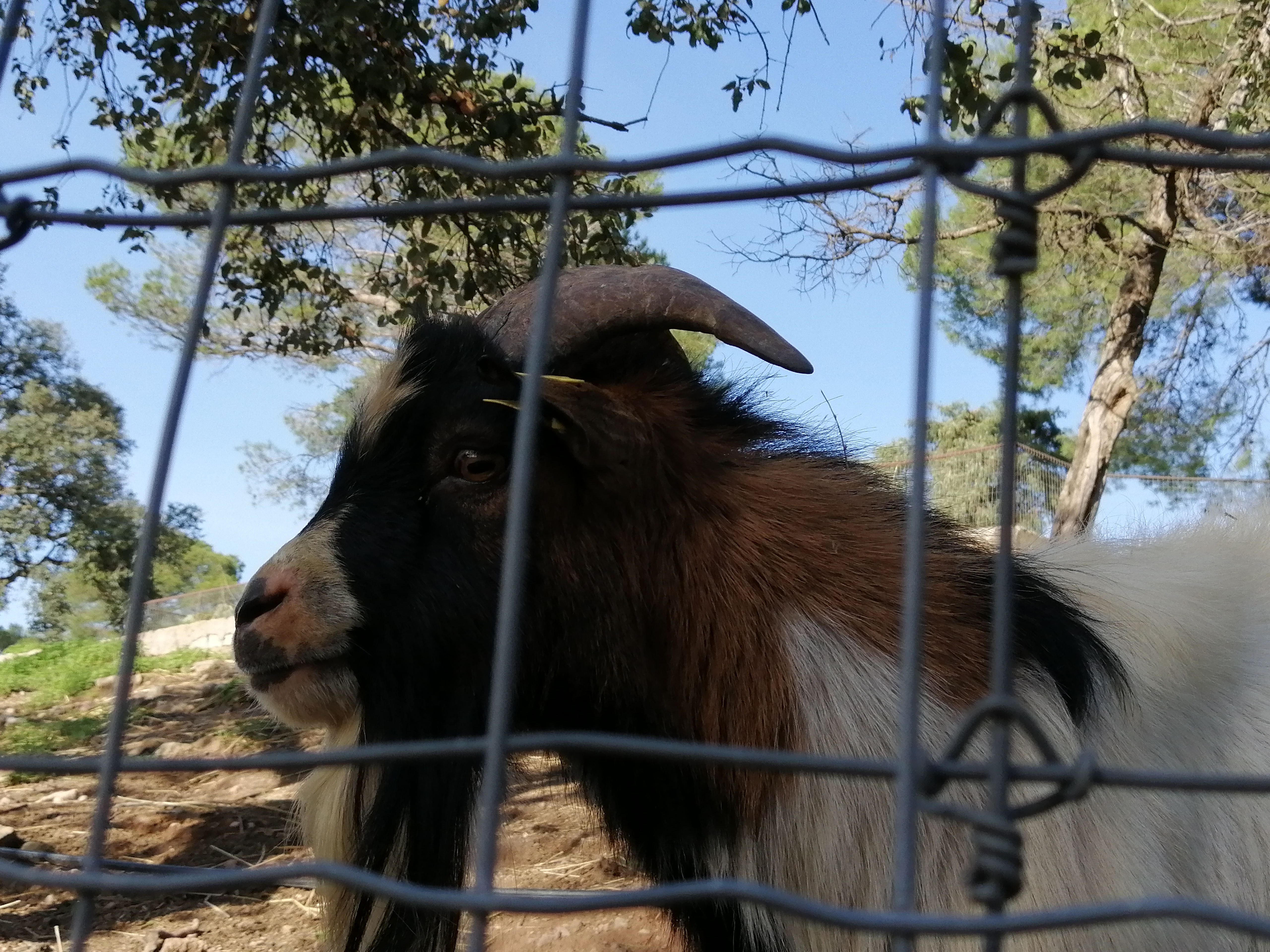 Photo n° 13 de l'avis de remy.e fait le 25/10/2019 à 16:38