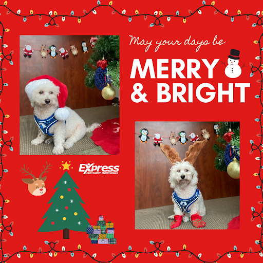 Employment Agency «Express Employment Professionals - Laguna Hills», reviews and photos, 23181 Verdugo Dr #104b, Laguna Hills, CA 92653, USA