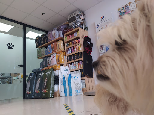 Veterinariament en Sant Feliu de Guíxols