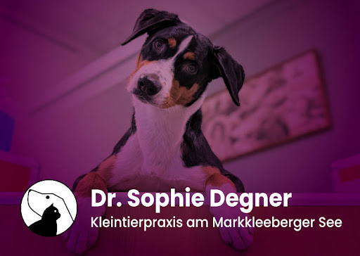 Dr. Sophie Degner - Kleintierpraxis am Markkleeberger See unter Markkleeberg, Sachsen