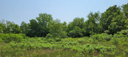 Nature Preserve «Knute Olson, Jr. Forest Preserve», reviews and photos, 12595 Base Line Rd, Kingston, IL 60145, USA