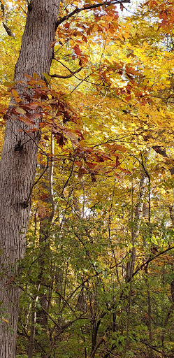 Golf Course «Huron Hills Golf Course», reviews and photos, 3465 E Huron River Dr, Ann Arbor, MI 48104, USA