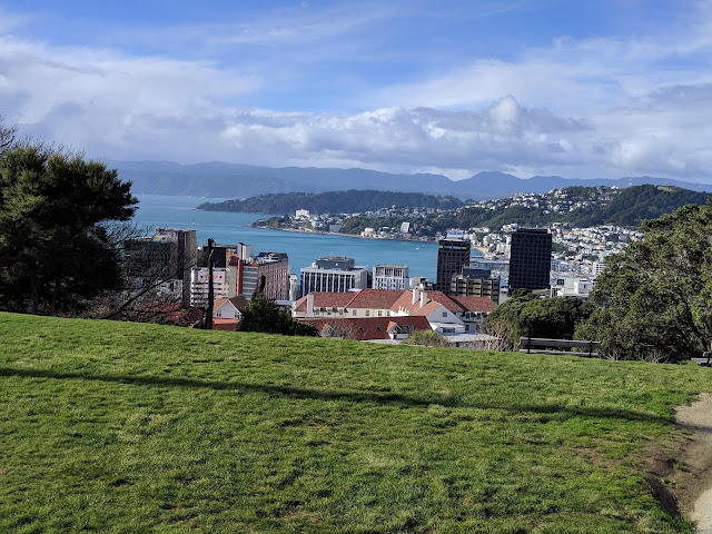 Wellington Botanic Garden by null