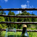 Photo n°5 de l'avis de Thomas. fait le 18/06/2023 à 07:52 sur le  Lahneralm Aldein à Aldein