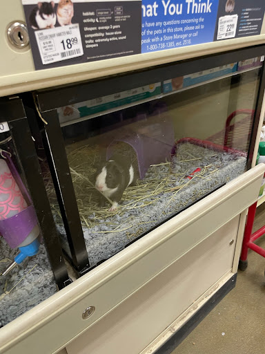 Pet Supply Store «PetSmart», reviews and photos, 1140 W Elliot Rd, Tempe, AZ 85284, USA