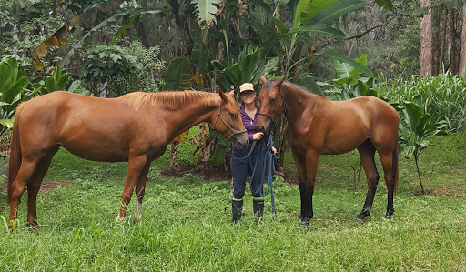 Aramat Equine Services, LLC image