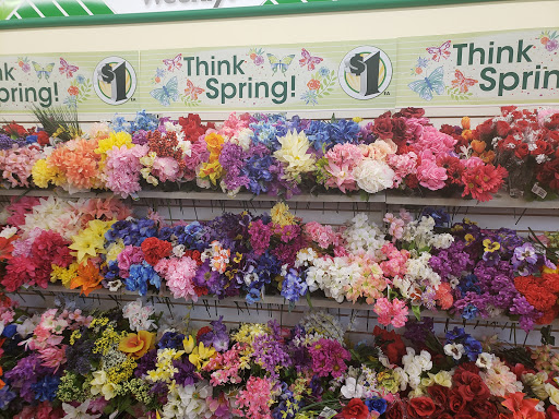 Dollar Store «Dollar Tree», reviews and photos, 1145 N Belsay Rd Ste B, Burton, MI 48509, USA