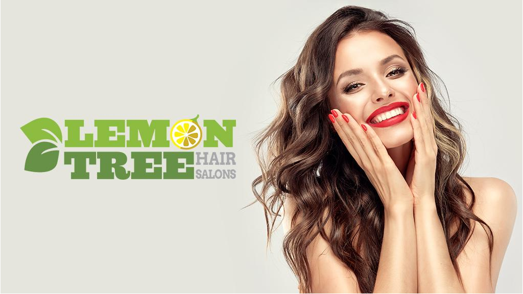 Lemon Tree Hair Salon Catskill 12414
