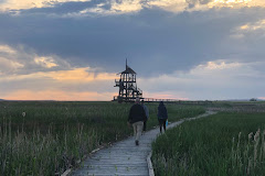 Great Salt Lake Shorelands Preserve