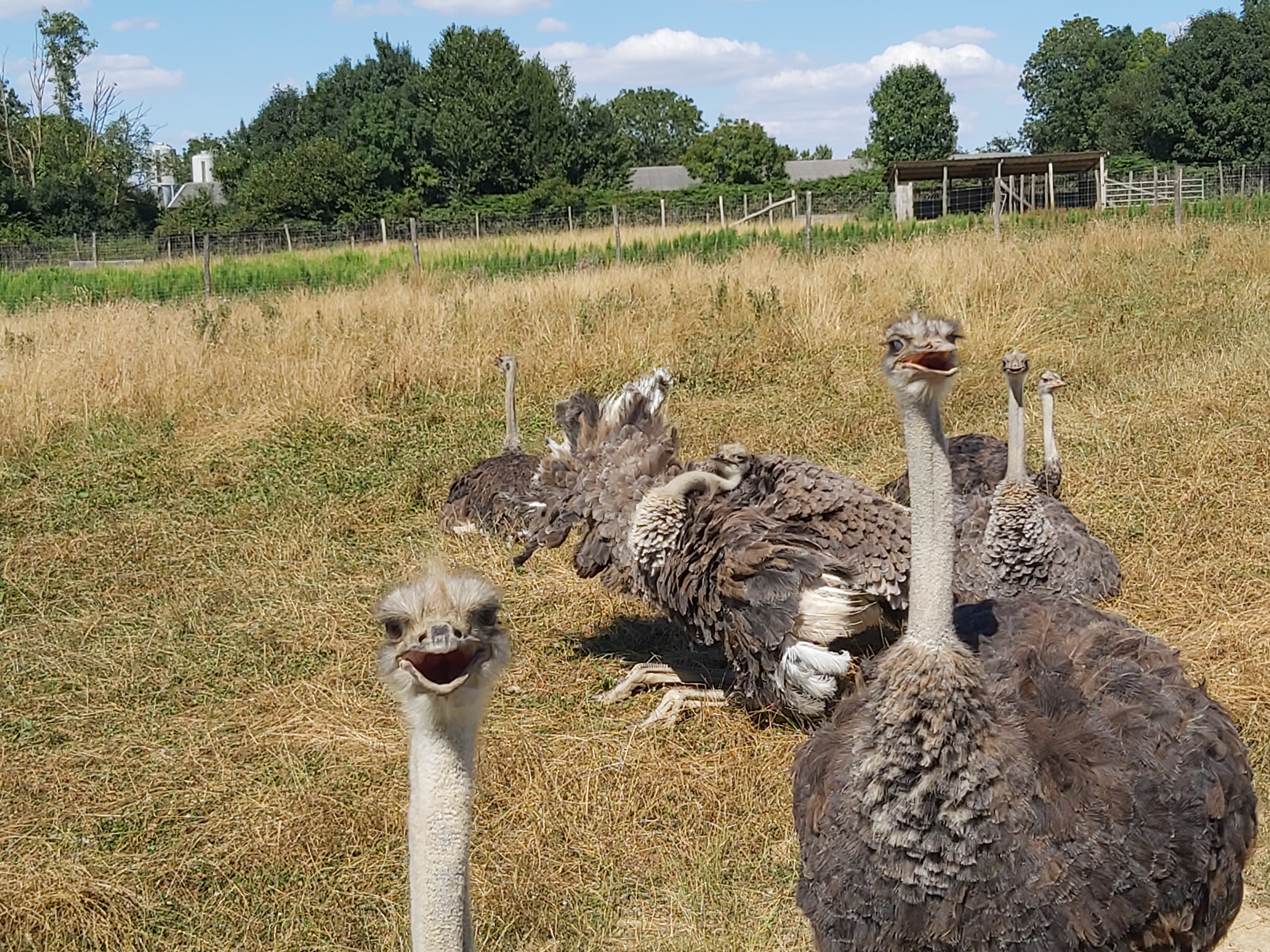 Photo n° 15 de l'avis de Guigeek_22. fait le 25/07/2020 à 21:01