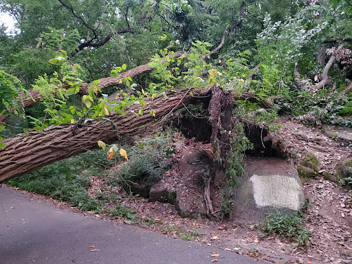 Park «Seton Falls Park», reviews and photos, E 233rd St, Bronx, NY 10466, USA