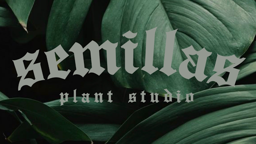 Semillas Plant Studio