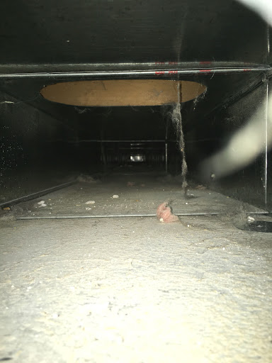 Carpet Cleaning Service «TLC Carpet and Upholstery Cleaning», reviews and photos, 6380 W 10th St #7, Greeley, CO 80634, USA