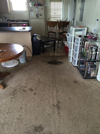 Drycon Nashville Carpet Cleaning