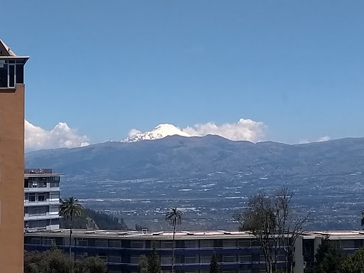 Especialistas frontend development Quito