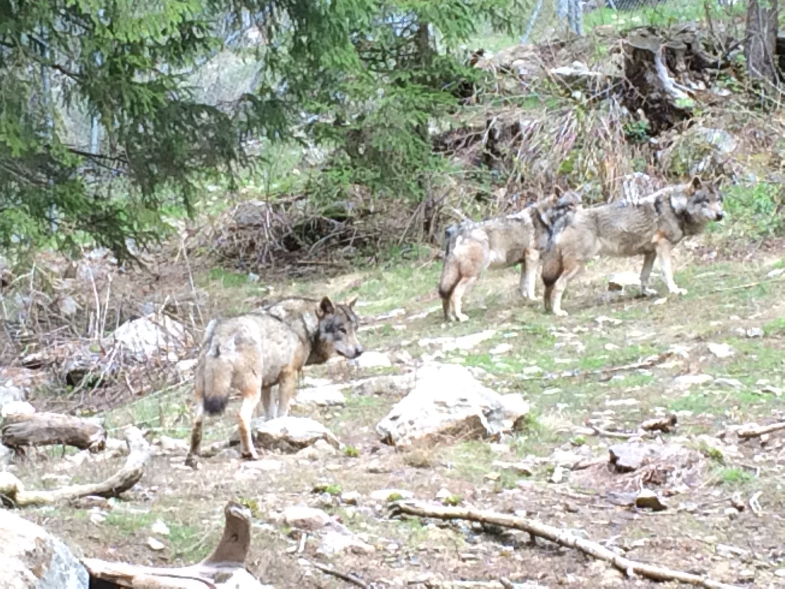 Photo n° 4 de l'avis de Maxime.l fait le 21/05/2018 à 08:38