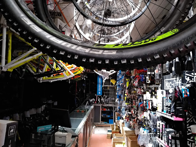 TERRABIKE - Tienda de bicicletas