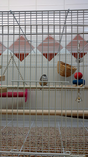 Pet Store «Animal Ark», reviews and photos, 175 S 500 E St, American Fork, UT 84003, USA