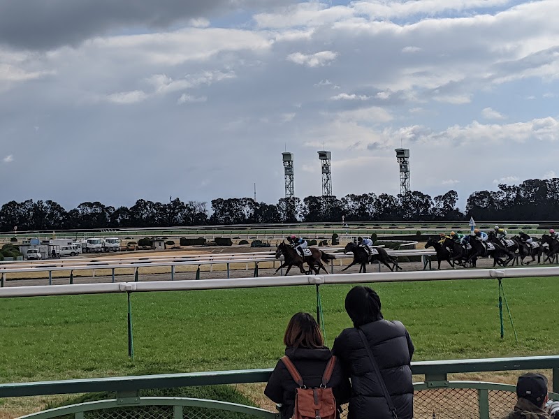 ＪＲＡ京都競馬場事務所