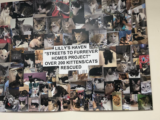 Pet Supply Store «PetSmart», reviews and photos, 5521 Mirage St, Yorba Linda, CA 92887, USA