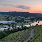 Photo n°1 de l'avis de Gänseblümchen.9 fait le 21/03/2023 à 11:51 sur le  Hotel Restaurant Burg Hornberg à Neckarzimmern am Neckar