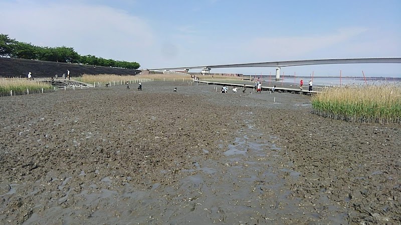 ムツゴロウ公園 グラウンド 佐賀県小城市芦刈町永田 公園 公園 グルコミ