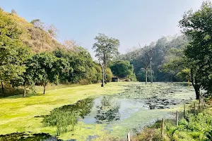Jhameshwar Mahadev Pond image