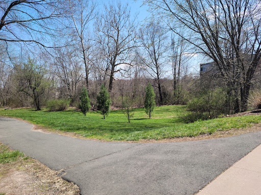 University «University of Hartford», reviews and photos