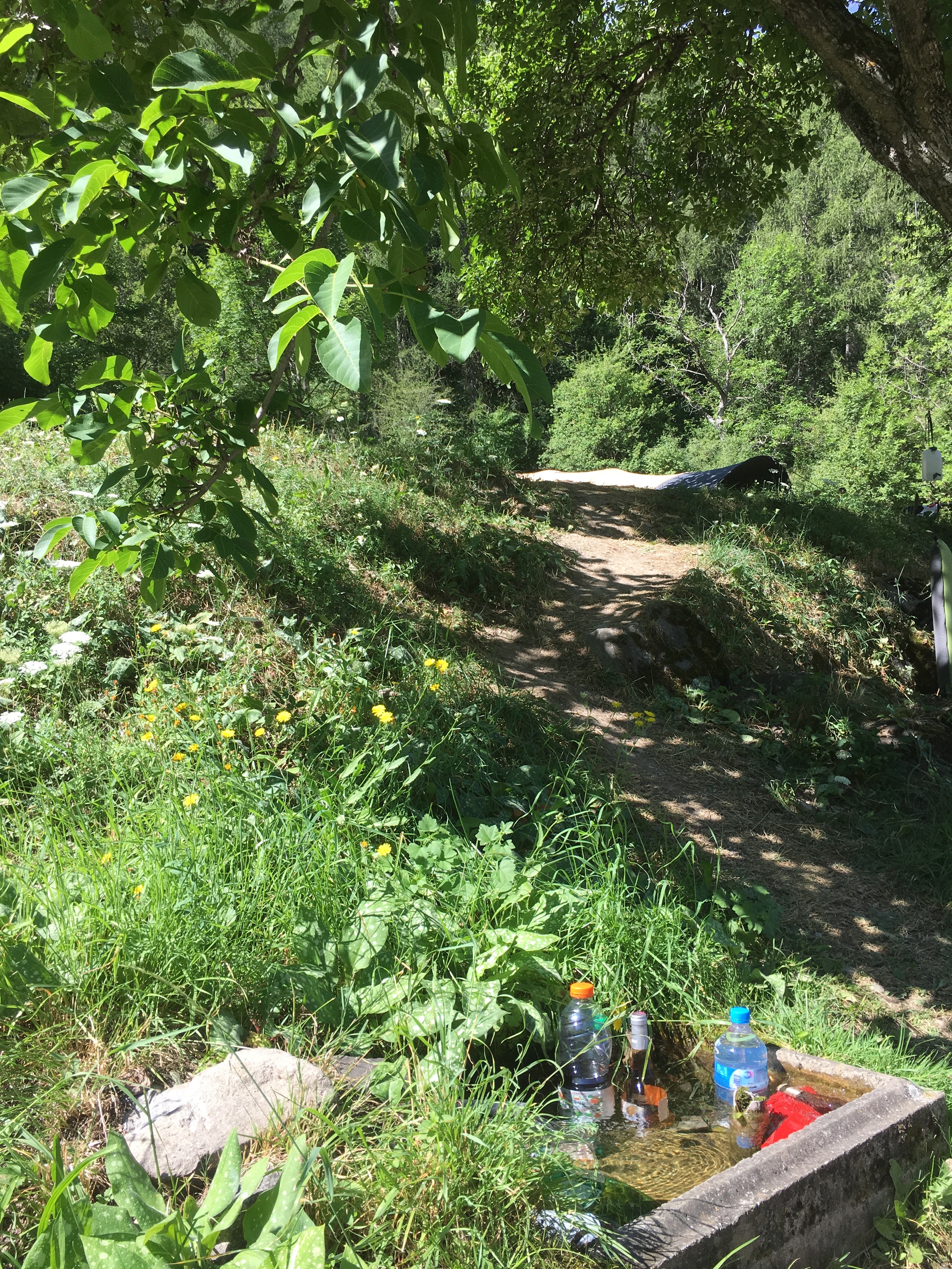 Photo n° 5 de l'avis de Joke.i fait le 19/08/2019 à 17:34