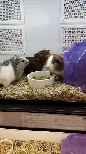 Pet Supply Store «Petco Animal Supplies», reviews and photos, 1111 US-46, Parsippany, NJ 07054, USA