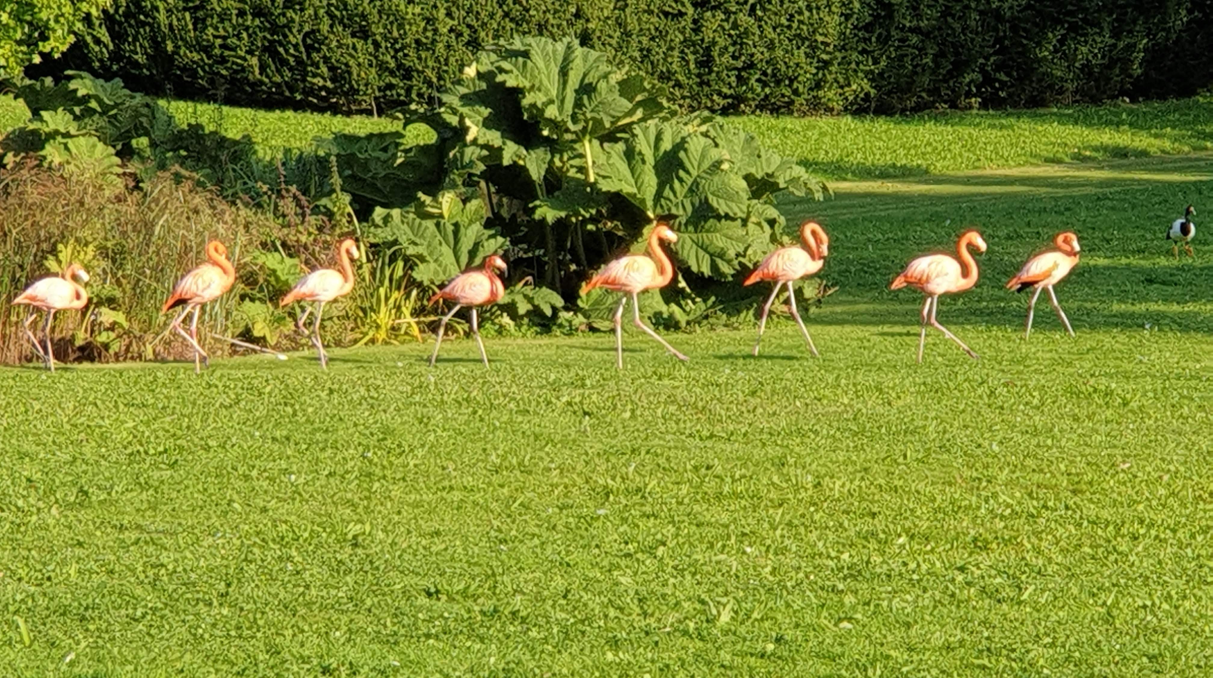 Photo n° 2 de l'avis de Emmanuèle.n fait le 26/10/2021 à 14:18