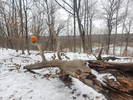 Nature Preserve «Swallow Cliff Woods South», reviews and photos, Illinois Rt 83 & US Rt 45, Palos Park, IL 60464, USA